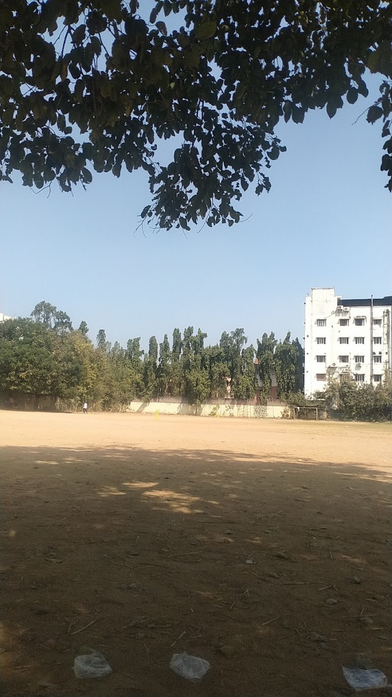 Government College of Physical Education