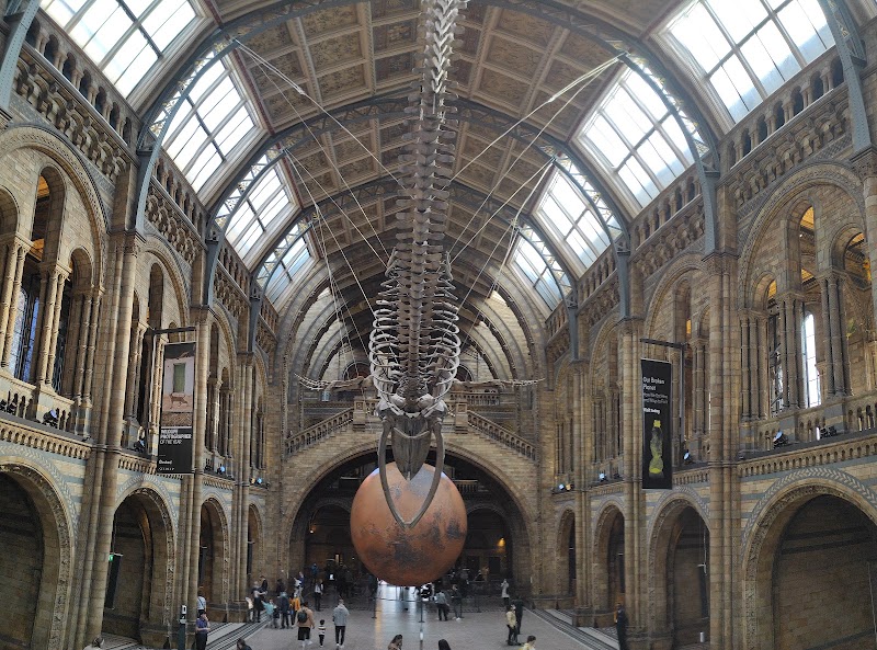 Natural History Museum