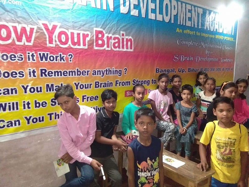 S. Brain