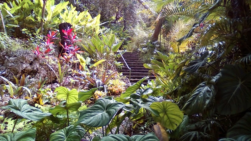 Andromeda Botanic Gardens